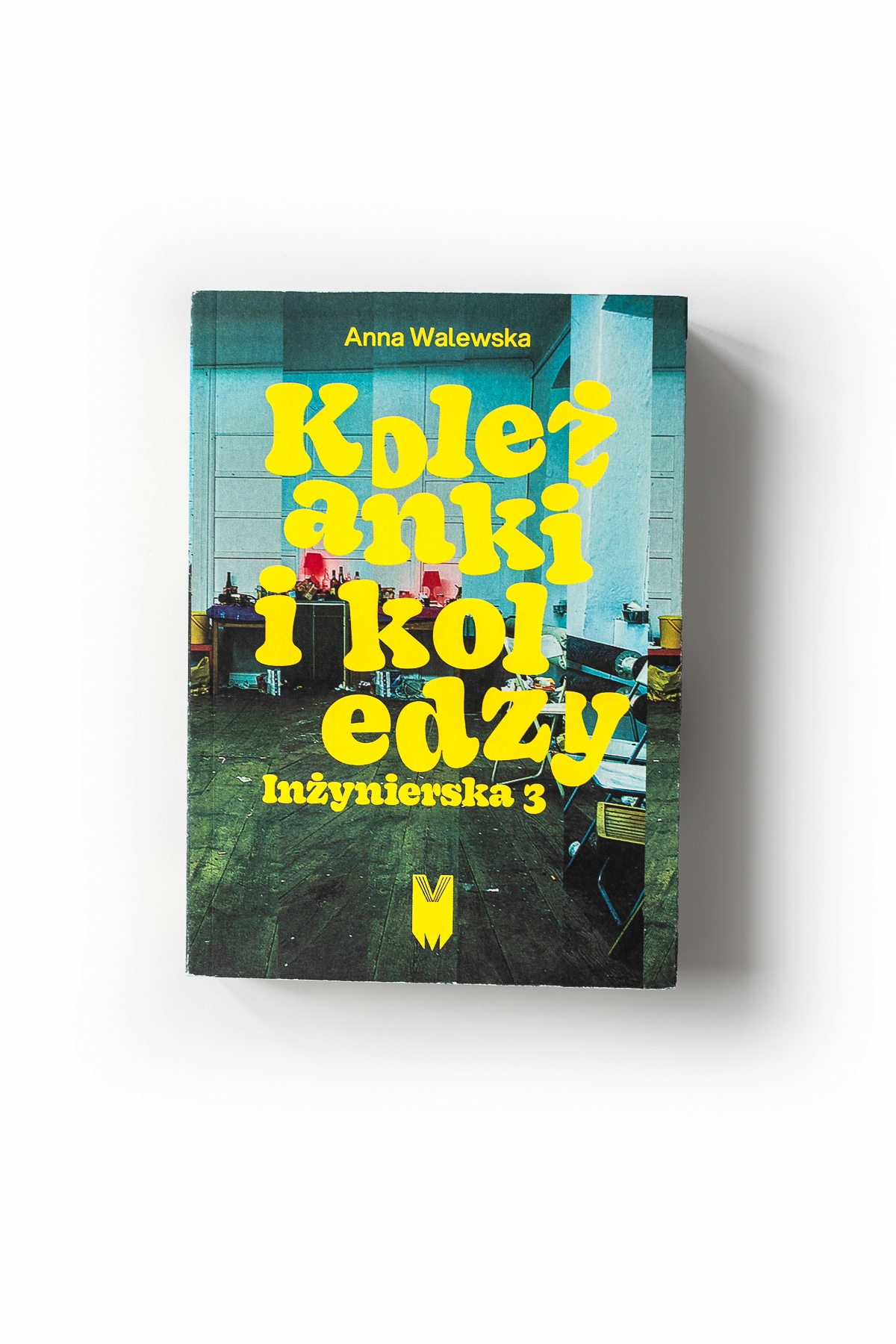 2025_publikacje_zm__13_z_48_.jpg (full)